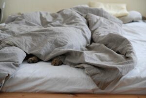 メンズの体臭ケアに効果的な布団の匂い防止方法は？