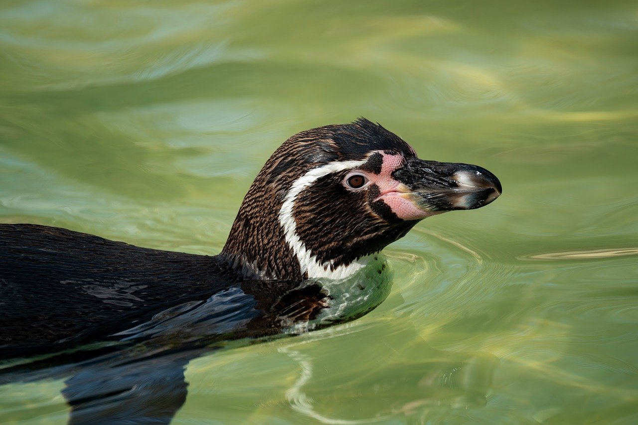 メンズの体臭ケアでニンニクの体臭が抜けない原因は？
