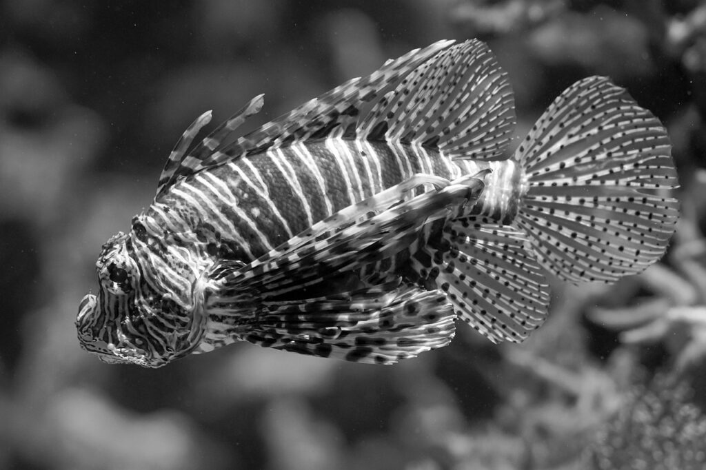 メンズの体臭ケアで魚臭い匂いの原因と対策は？