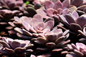 メンズの体臭ケアにおける抗菌インナーの効果はどこまで期待できる？